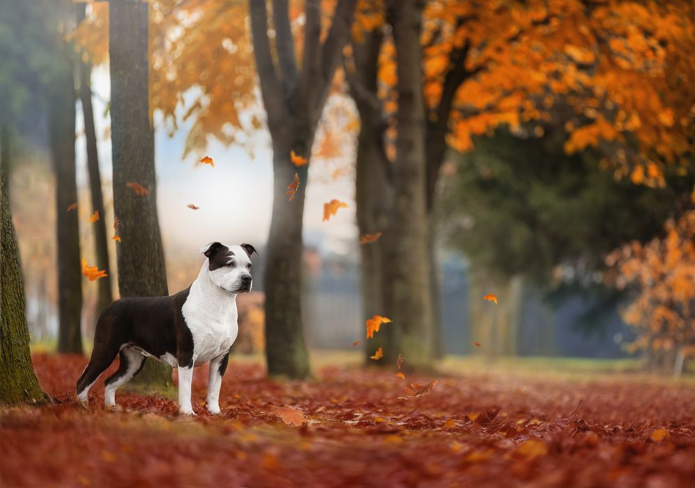 Photograph by Светлана Писарева