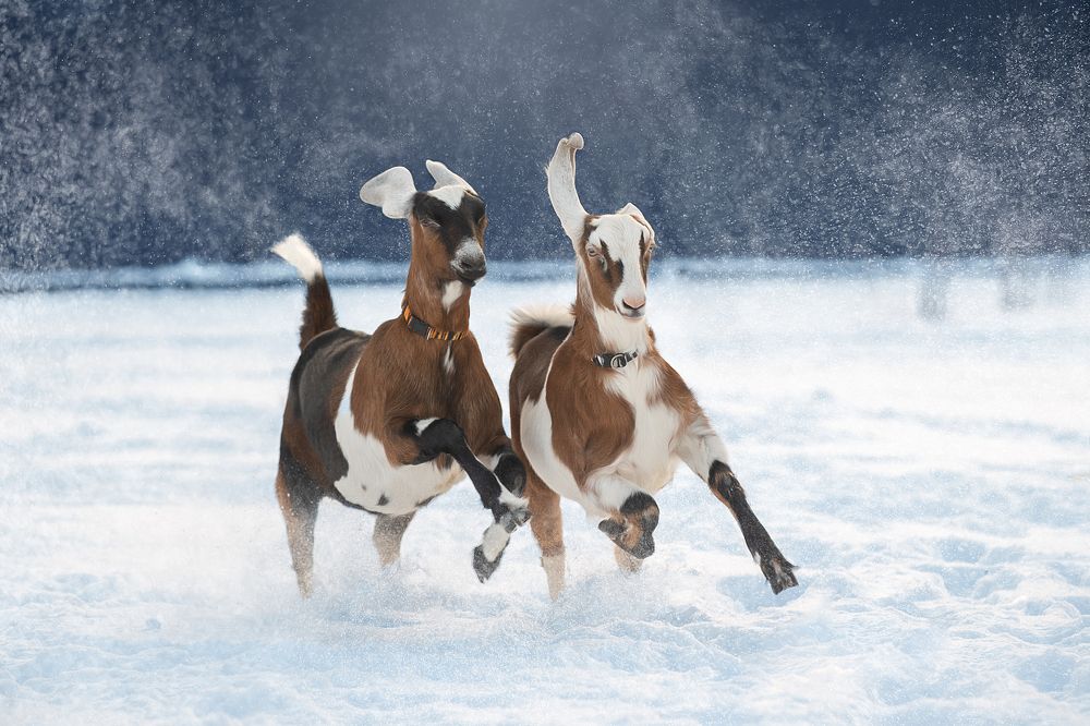 Photograph by Светлана Писарева