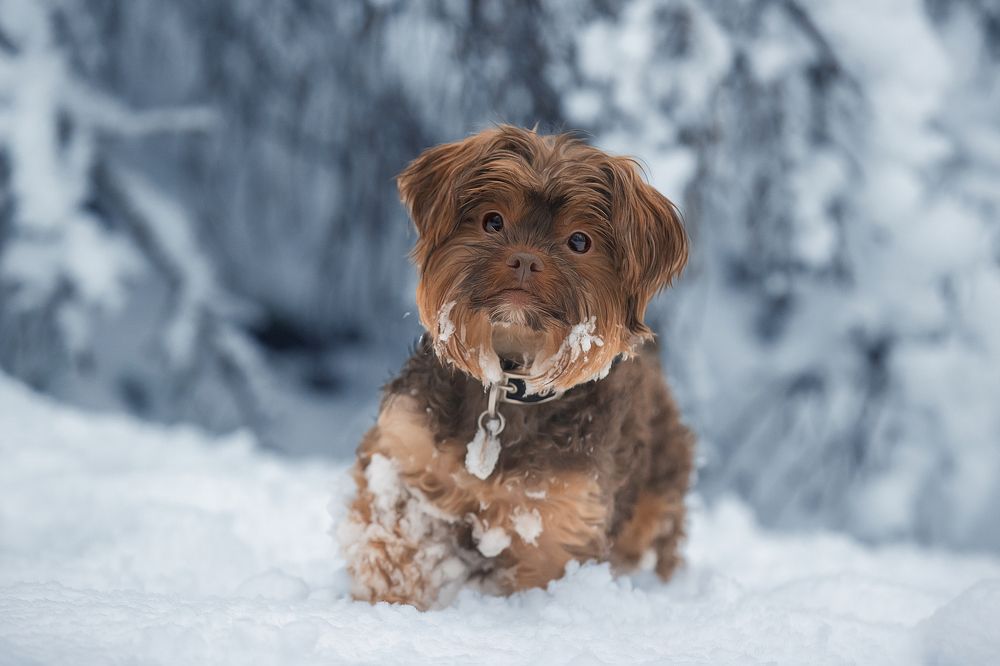 Photograph by Светлана Писарева