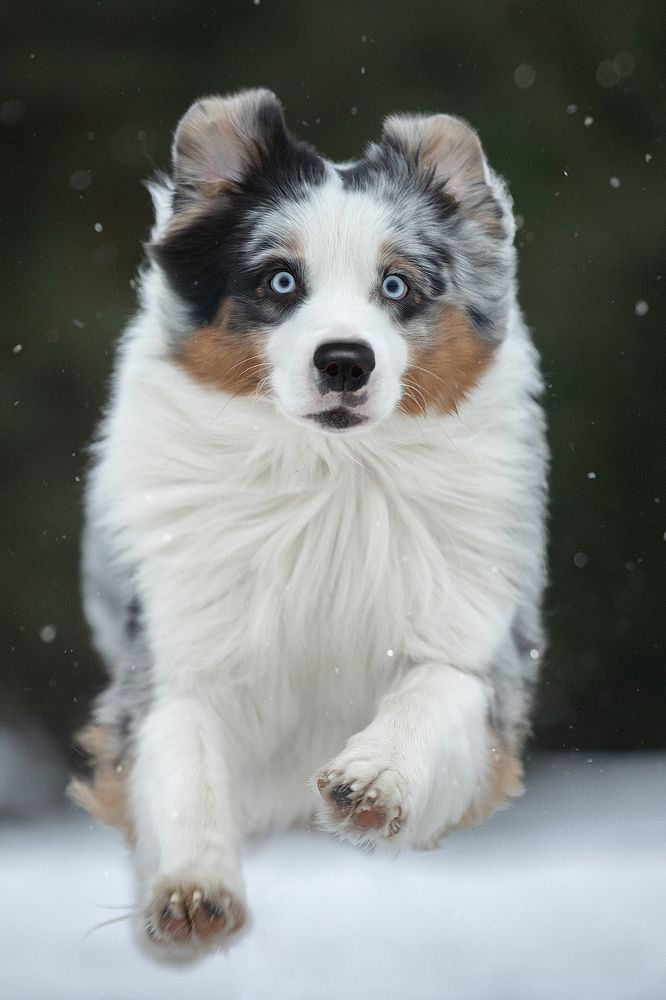 Photograph by Светлана Писарева