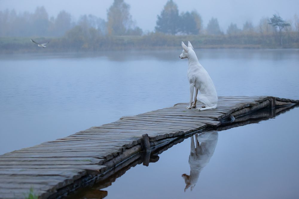 Photograph by Светлана Писарева