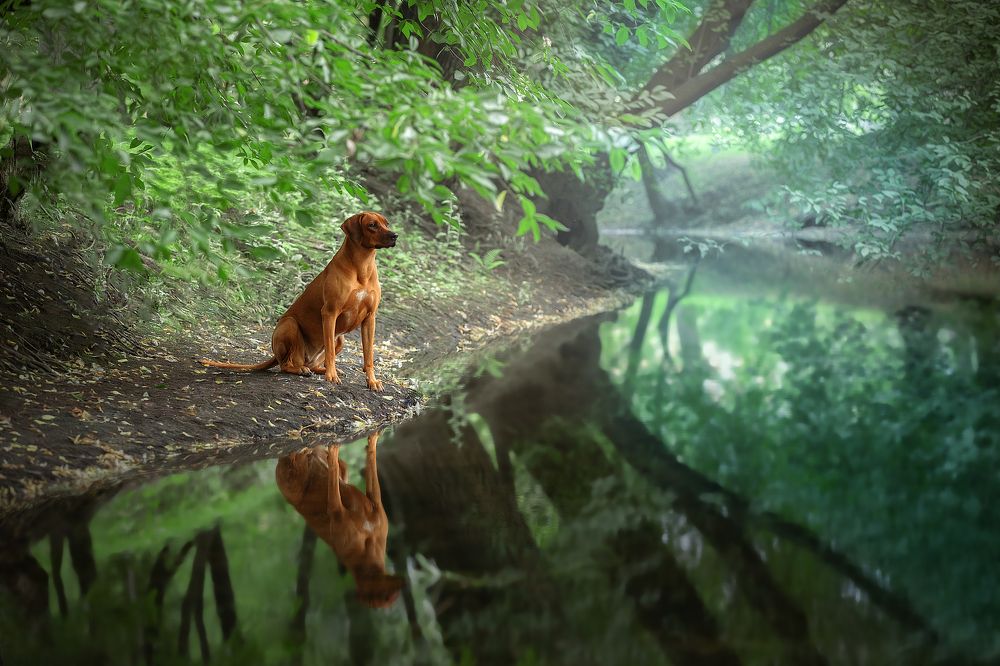 Photograph by Светлана Писарева