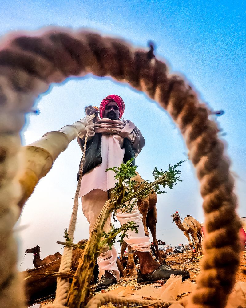 Photograph by Mohit Anglay