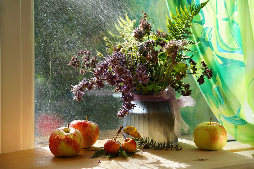 Photograph by Ольга Пуховникова