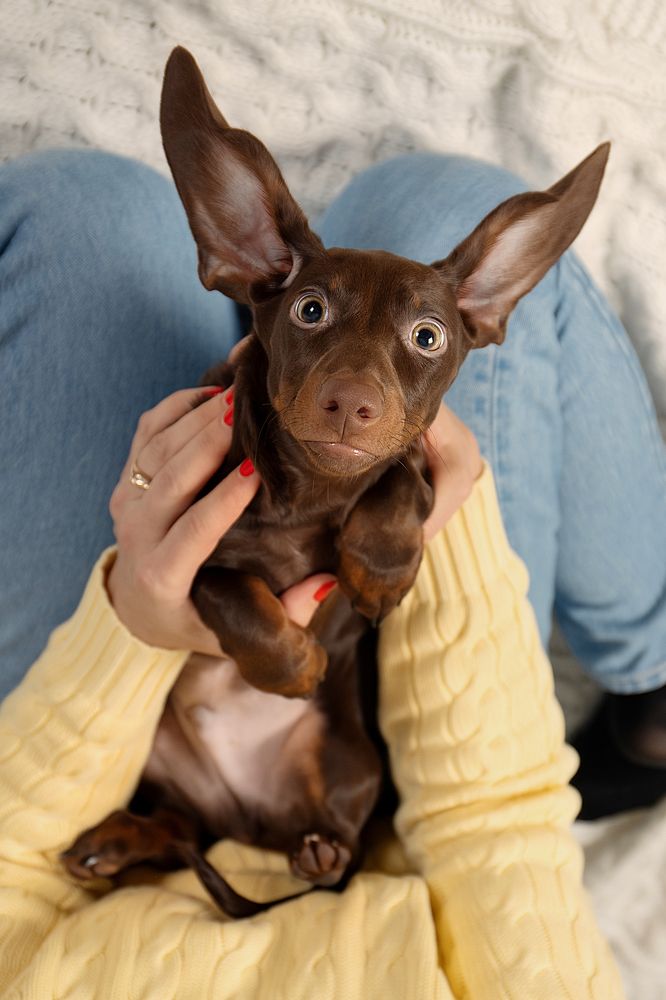 Photograph by Светлана Писарева