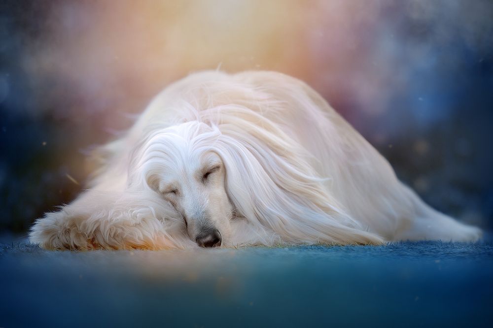 Photograph by Светлана Писарева