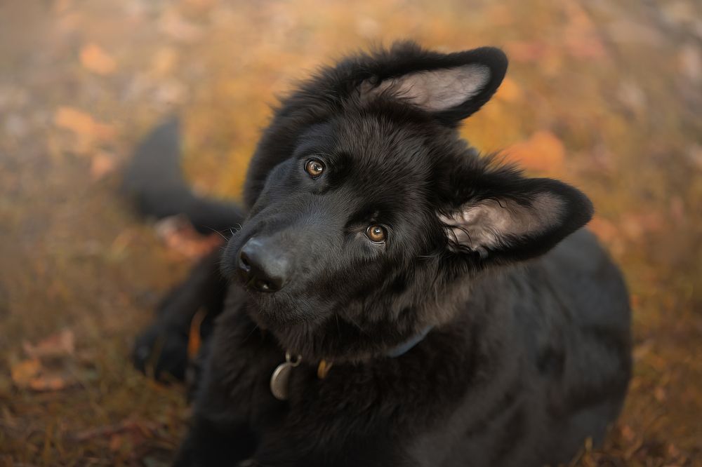 Photograph by Светлана Писарева