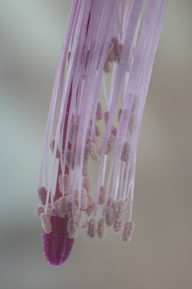 Photograph by Дмитрий Бельмаз