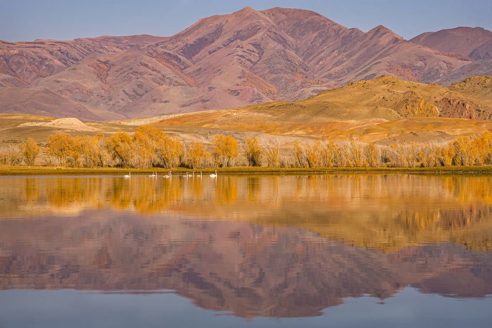 Осеннее утро