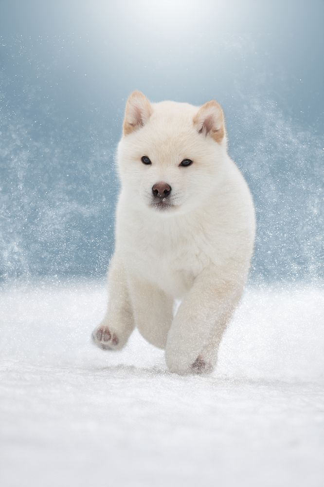 Photograph by Светлана Писарева