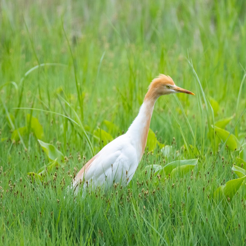 Photograph by Иван Боровков