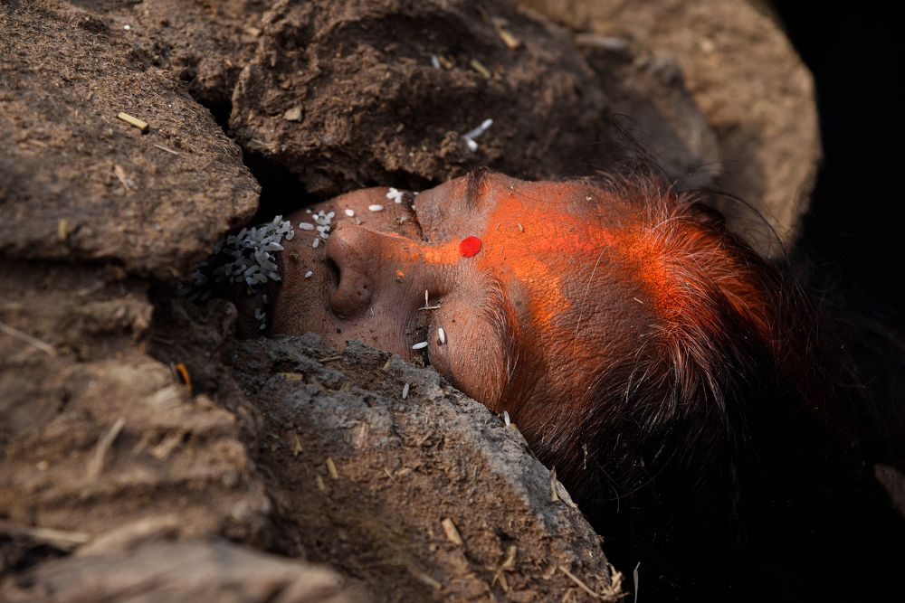 Photograph by Imperial Pankaj