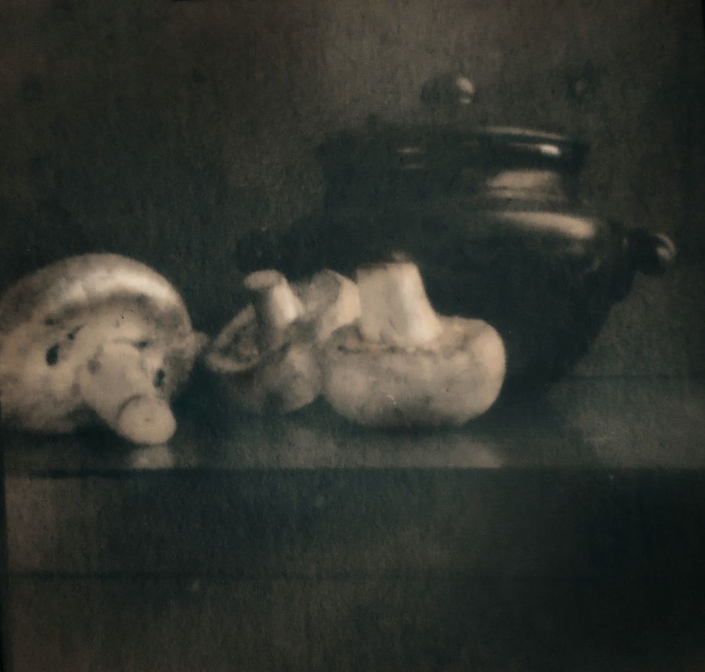 Натюрморт с шампиньонами