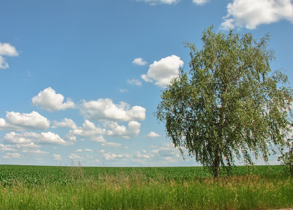 Photograph by Дима Токарев