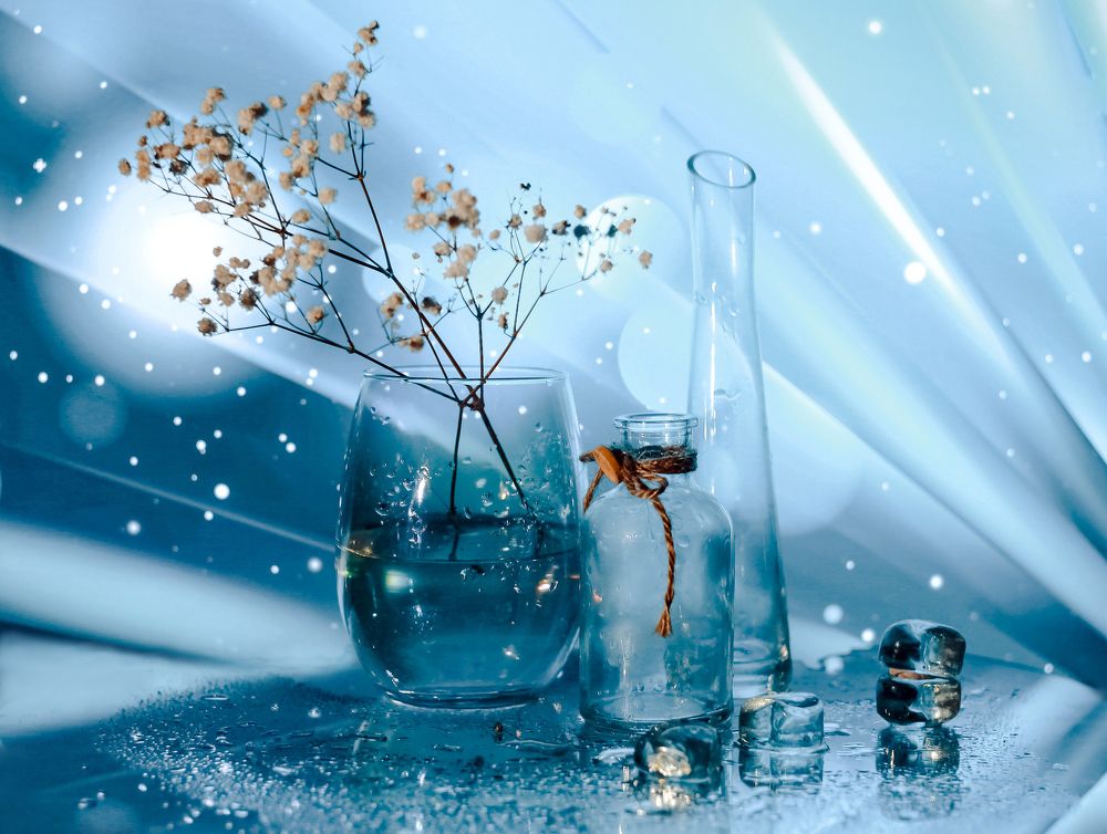 Photograph by Светлана Кавказская