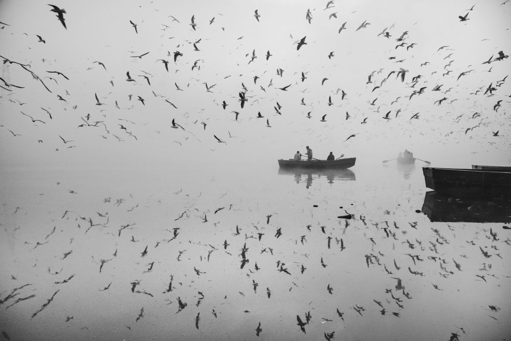 Photograph by Imperial Pankaj