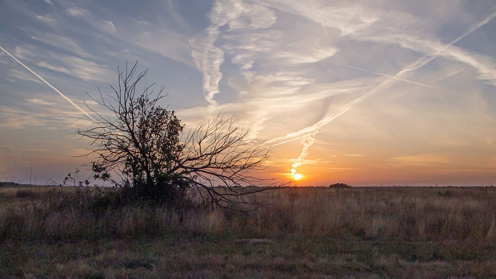 Photograph by Александр Малышев