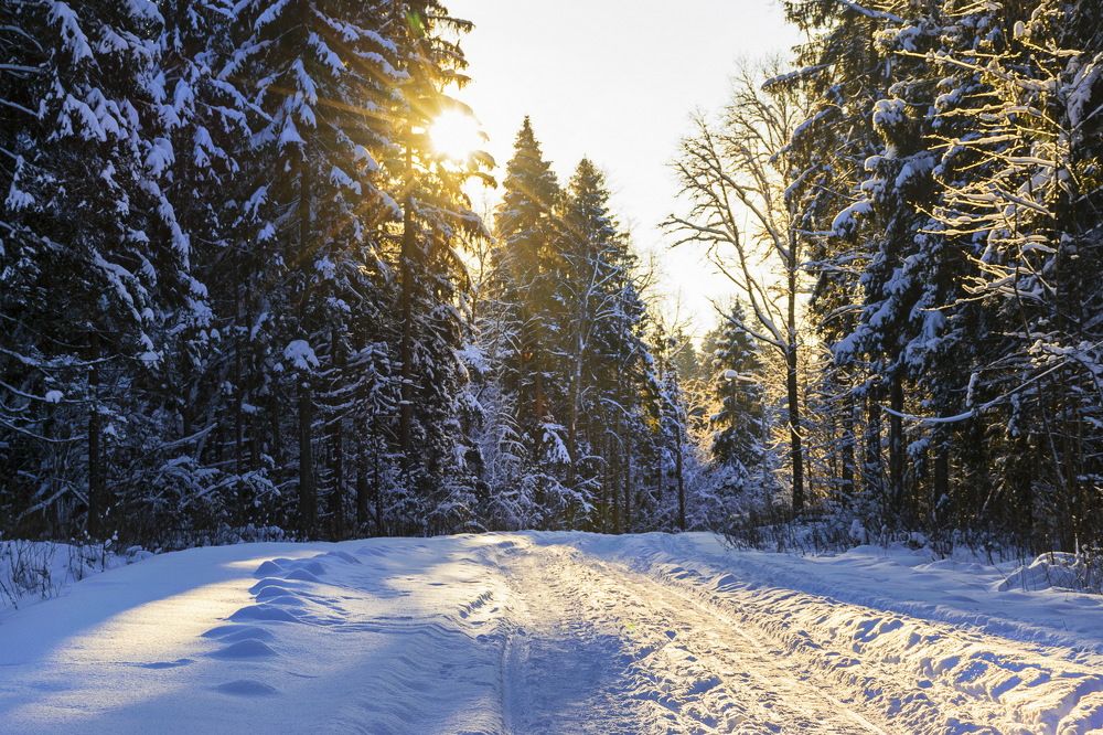 Photograph by Игорь Новиков