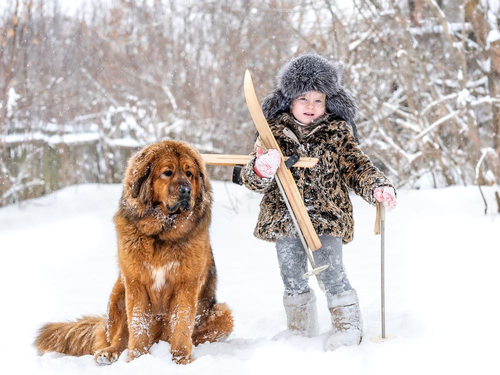 Photograph by Елена Баринова