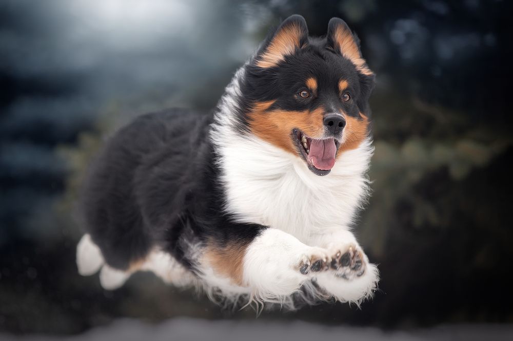 Photograph by Светлана Писарева