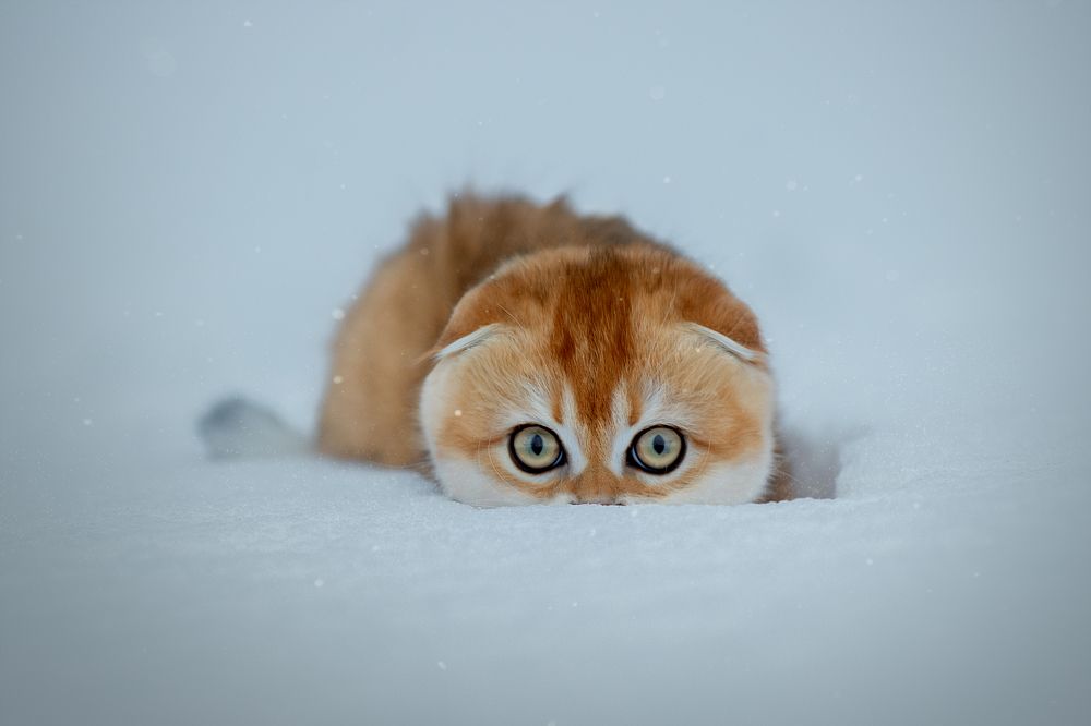 Photograph by Светлана Писарева