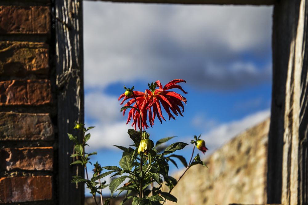 Photograph by ILONA KILA