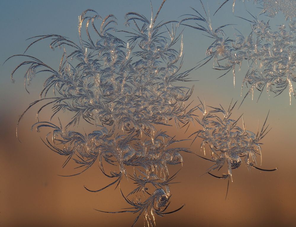 Морозная каллиграфия