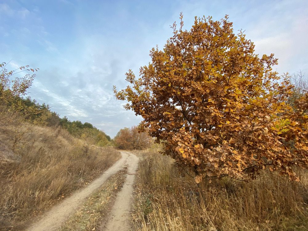Photograph by Denis Skulimovskiy