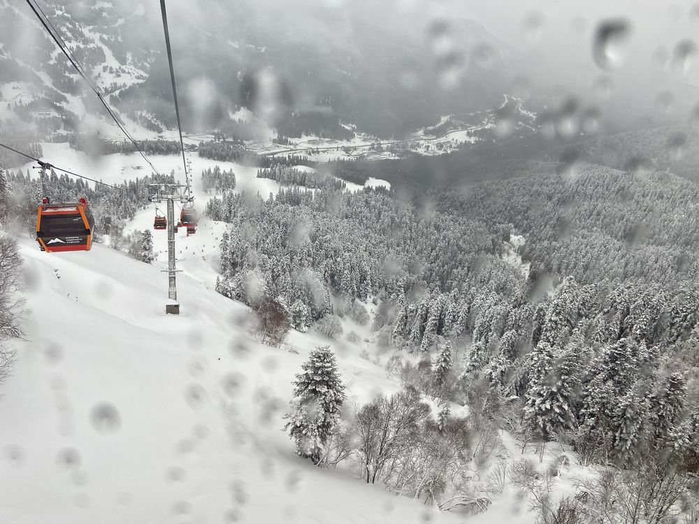 Photograph by Denis Skulimovskiy