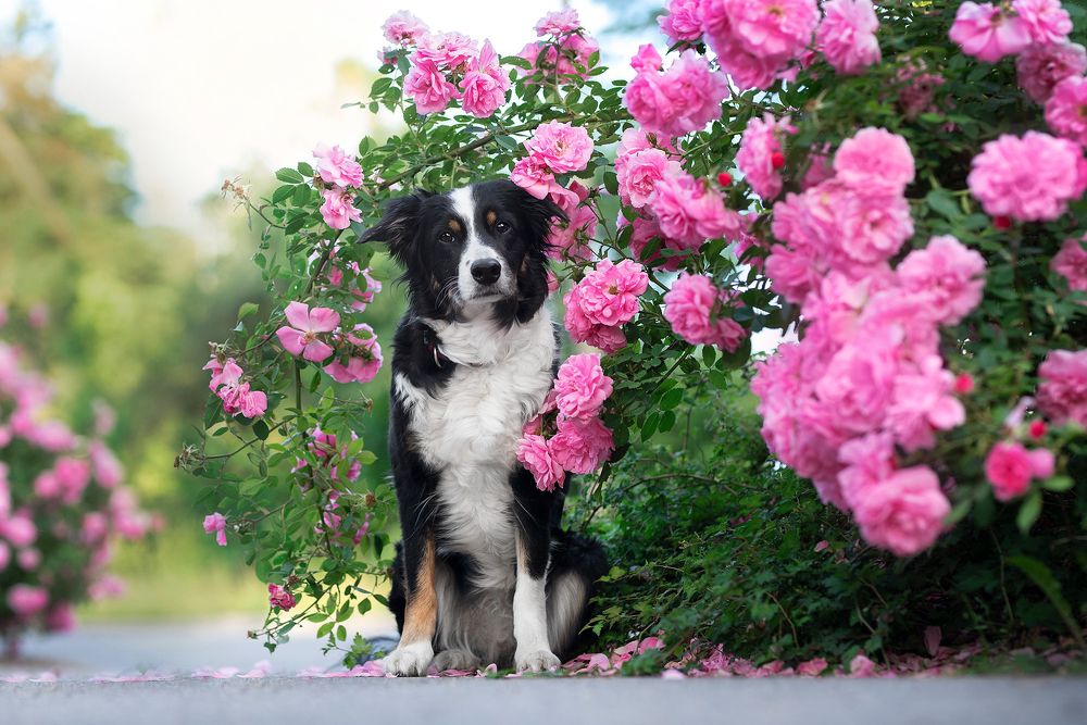 Photograph by Karina Saarestik