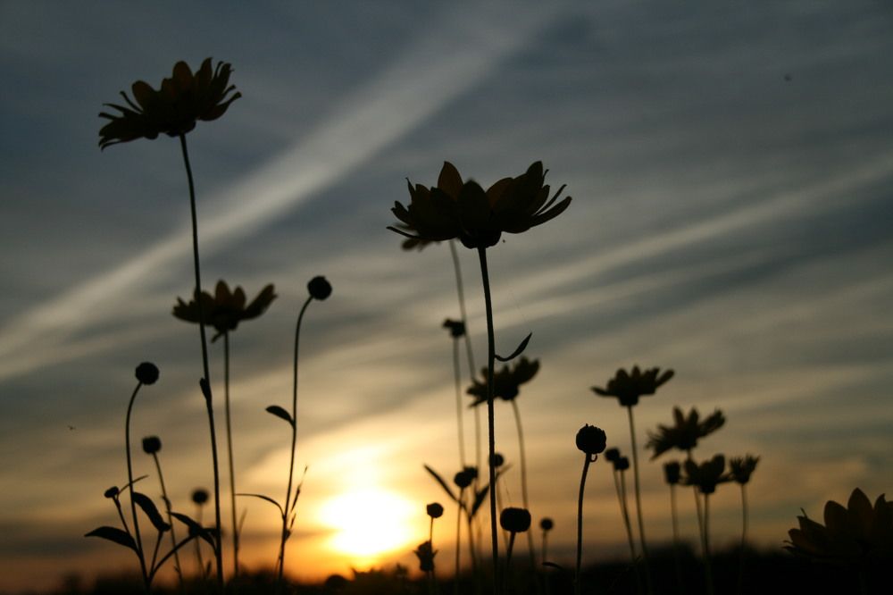 Photograph by Анна Терейковская