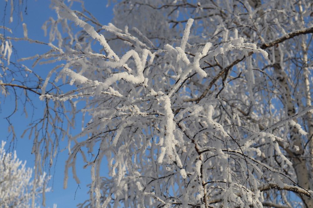 Photograph by Марина