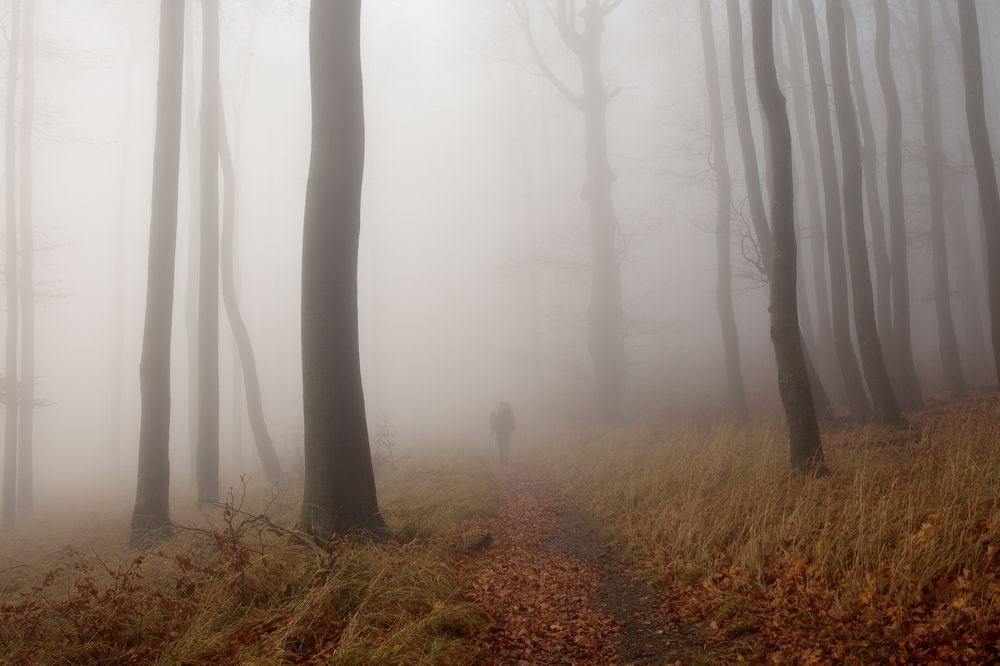 Photograph by Renáta Kuljovská