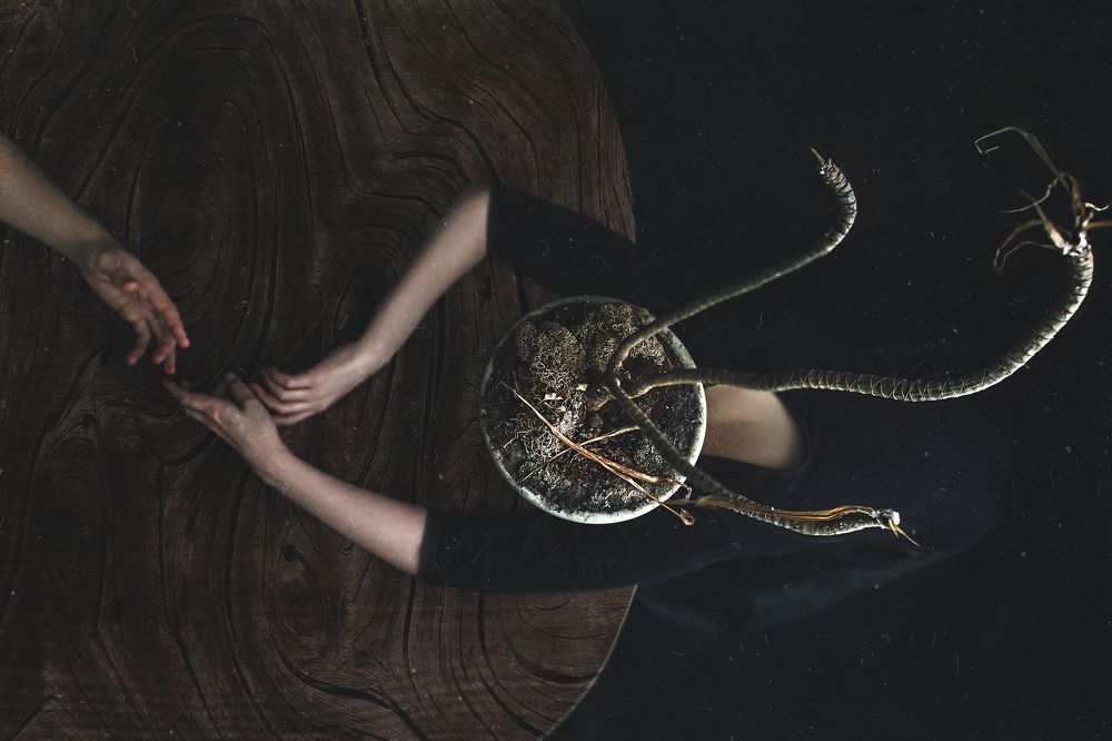 Фотография автора Татьяна Вишневская