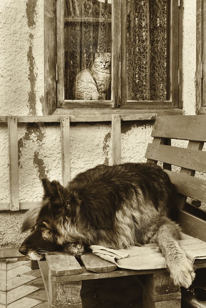 Photograph by  Владимир