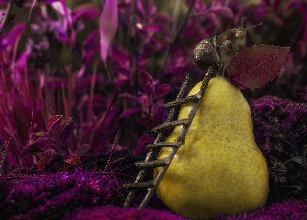 Грушевый пунш