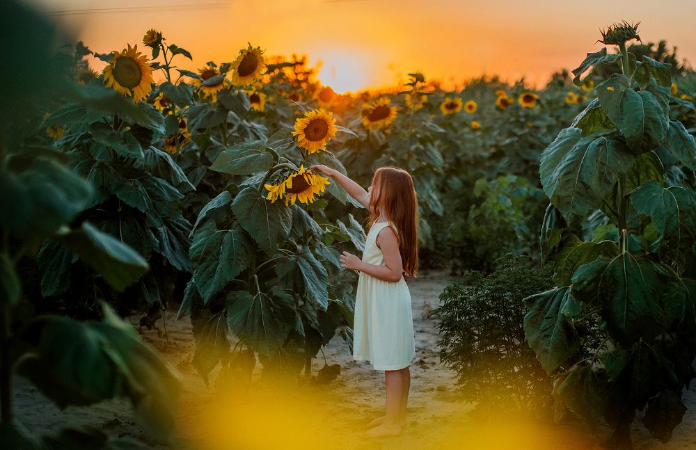 Photograph by Нина Михайлова