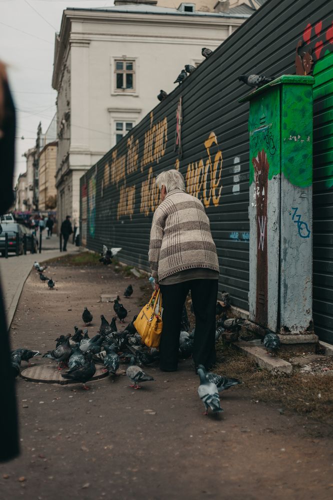 Городская жизнь города Львов