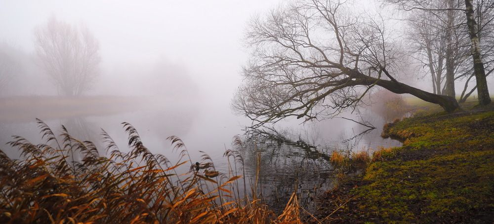 Photograph by Валерий Козуб