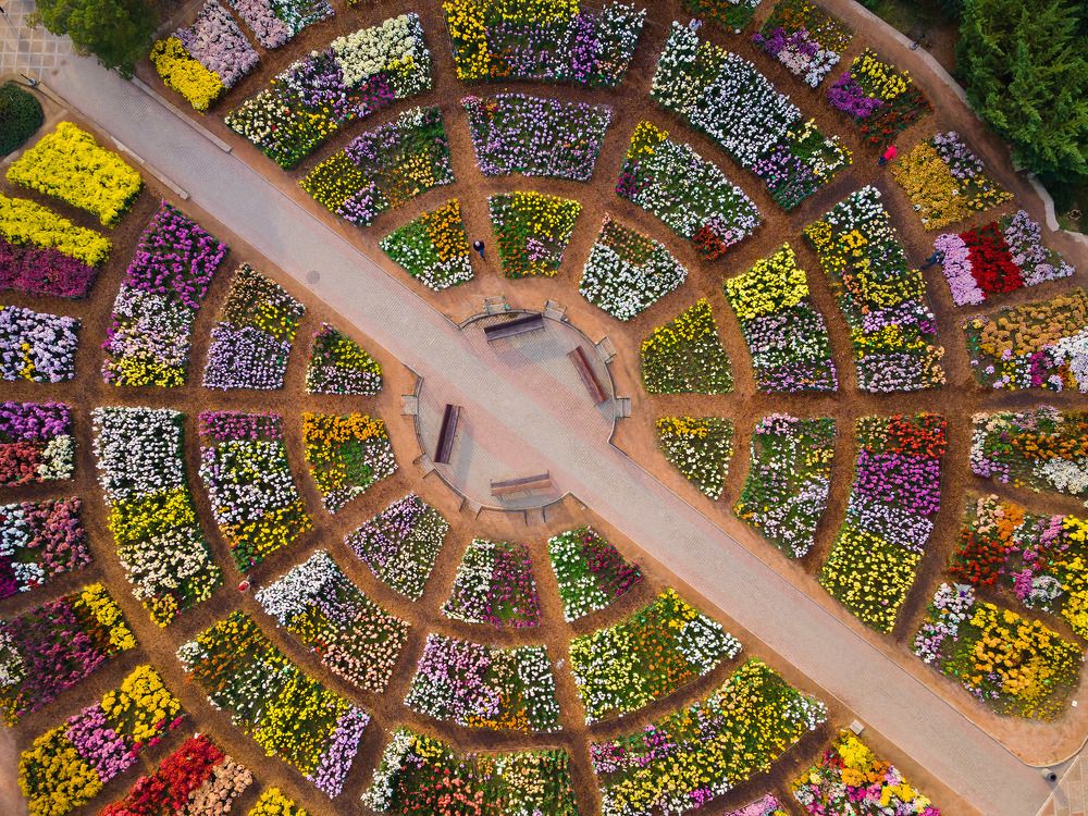 Фотография автора Serge Titov