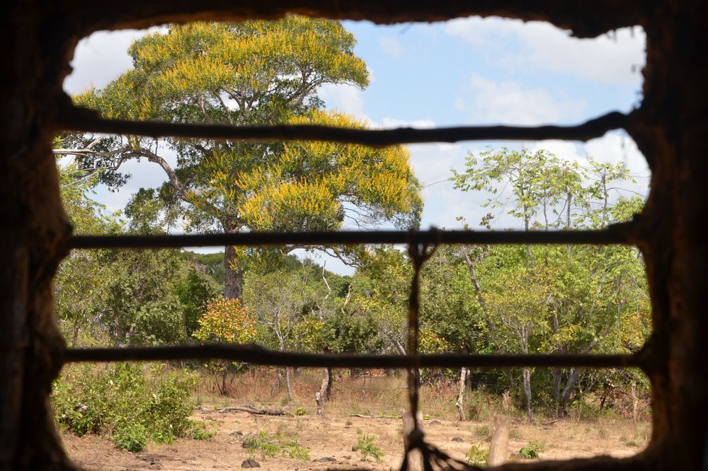 Photograph by Marzio Fattorini