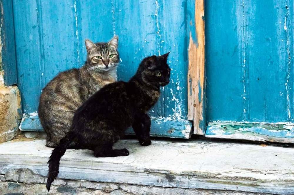 Photograph by Marika Charkviani