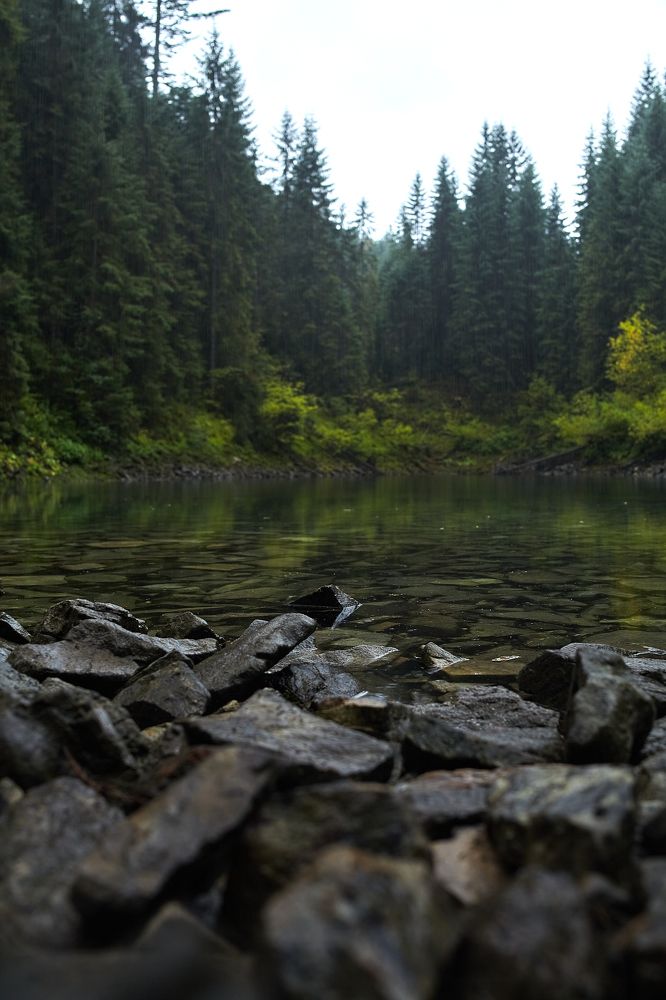 Photograph by Даниил Эльяшэвский