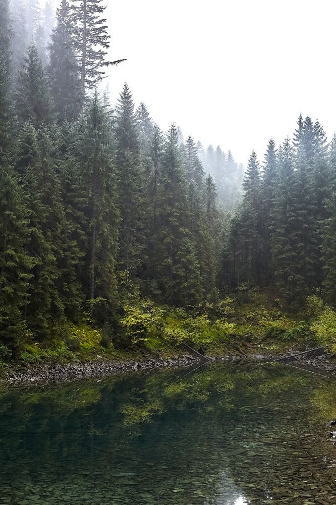 Photograph by Даниил Эльяшэвский