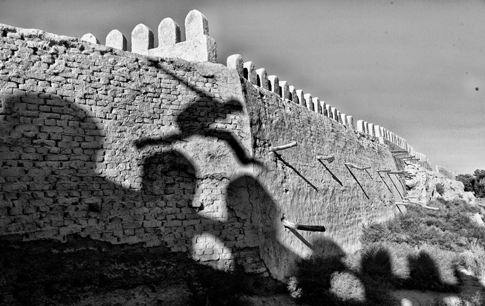 Photograph by Behzod Boltaev