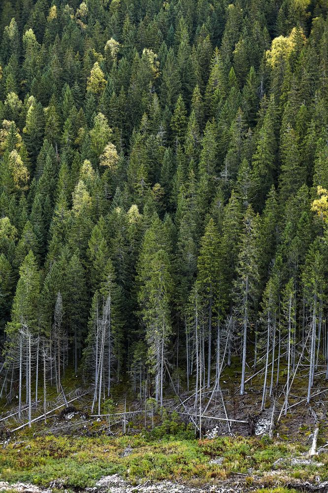 Photograph by Даниил Эльяшэвский