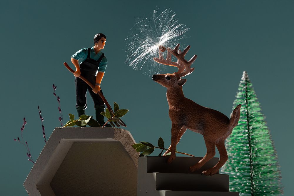 Фотография автора Александр Сергиенко