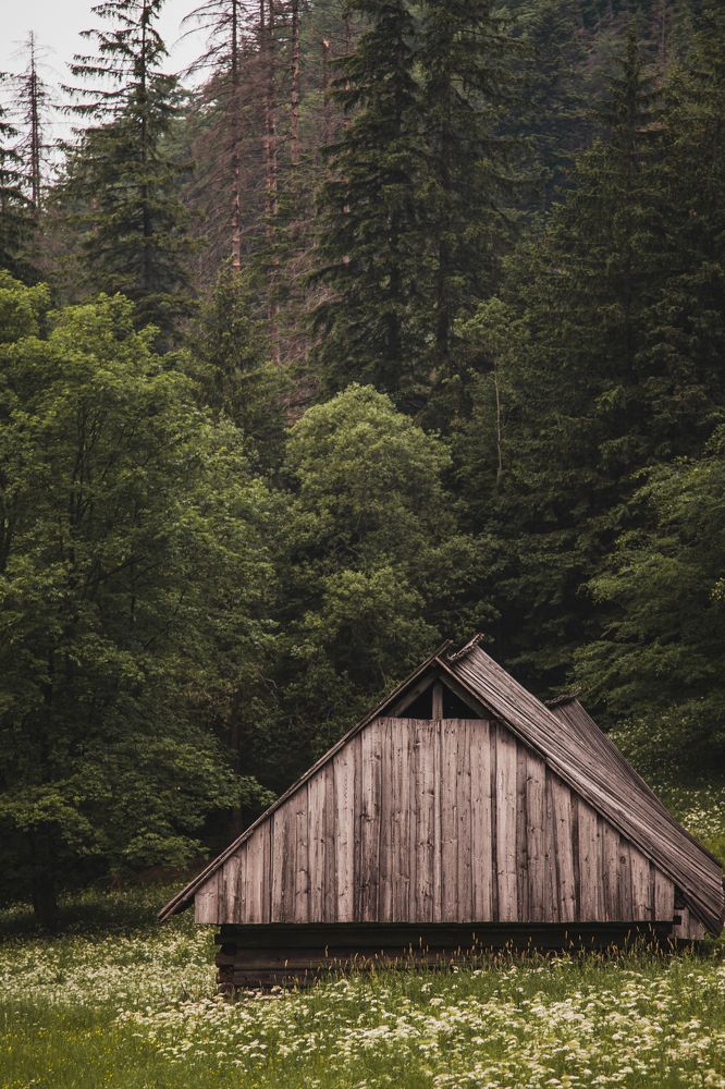 Photograph by Даниил Эльяшэвский