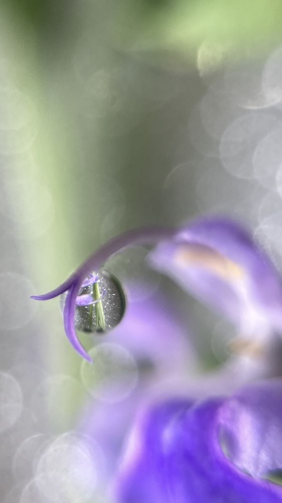 Photograph by Любовь Тернова