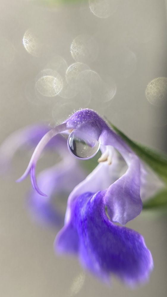 Photograph by Любовь Тернова